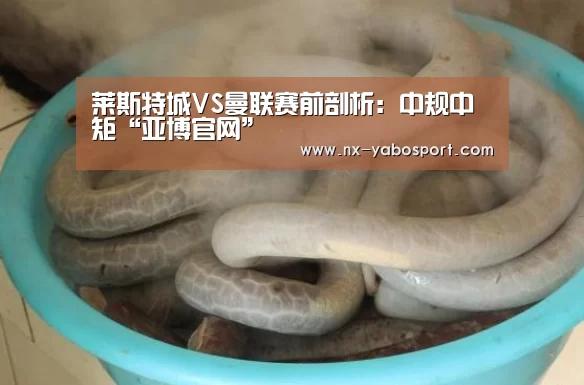 莱斯特城VS曼联赛前剖析:中规中矩“亚博官网”(图2) 亚博体育官网